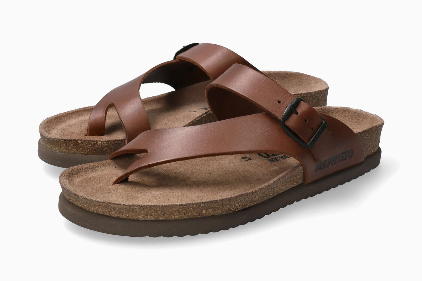 Niels - Chestnut