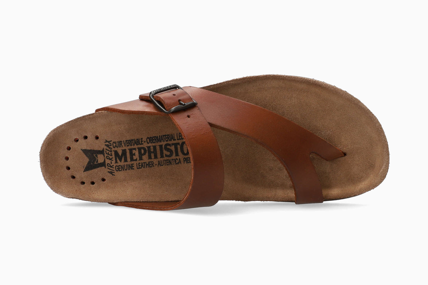 Niels - Chestnut