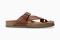 Niels - Chestnut