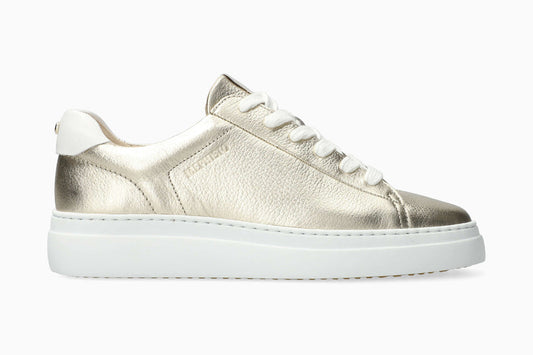 Dotty - Gold