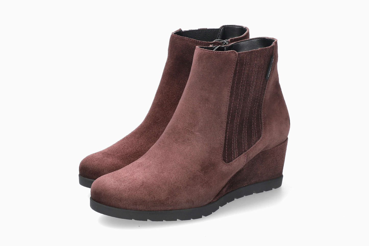 Fiorina - Plum