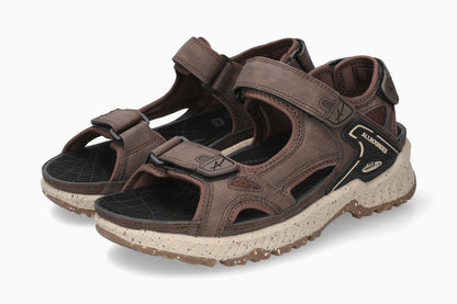 Honduras - Dark Brown