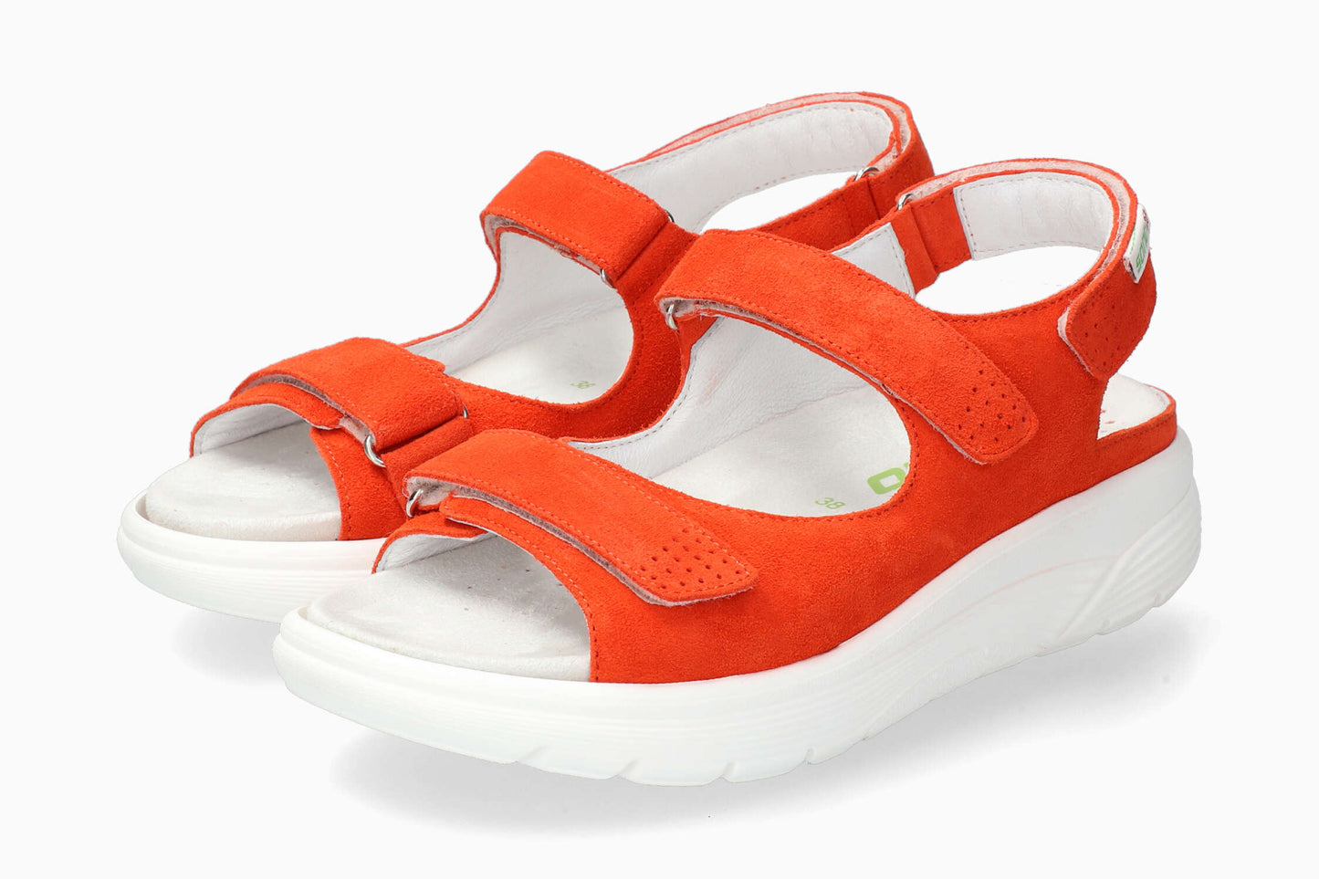 Norine - Tangerine