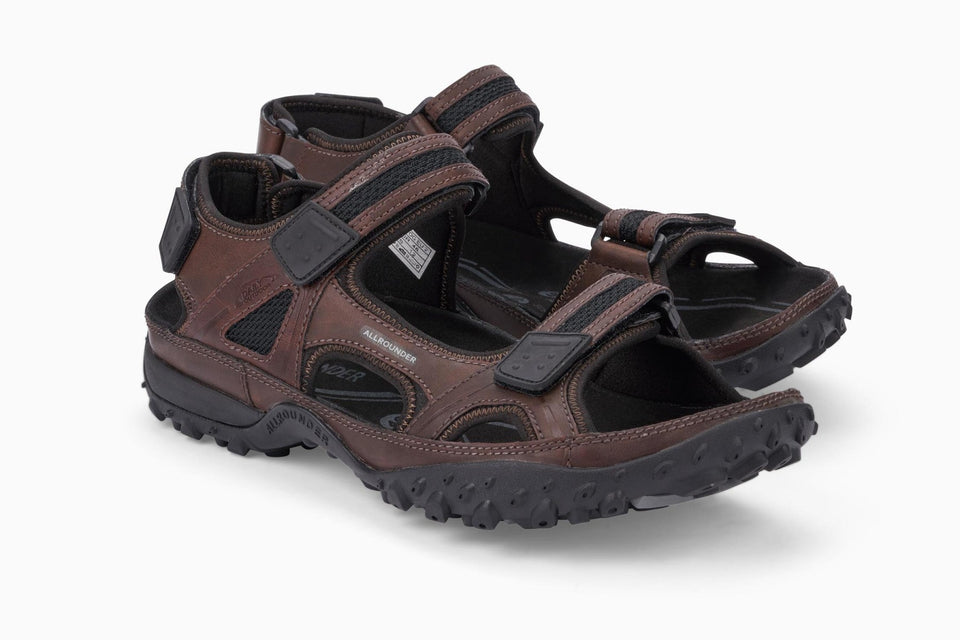 Regent - Dark Brown